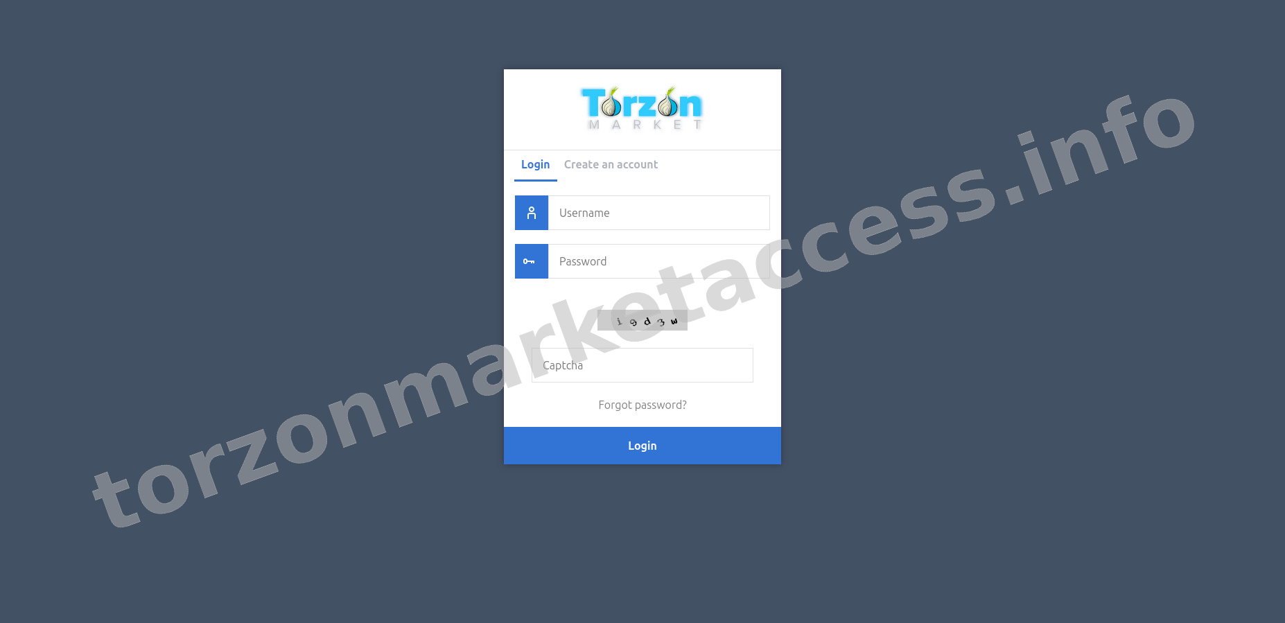 Secure Login Interface